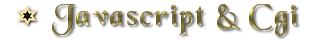 Javascripts, CGI & Other Add-Ons